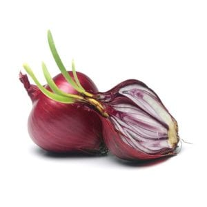 Large onion